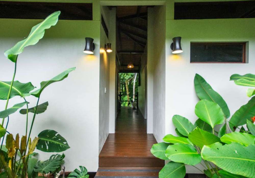 Jungle Bungalows_1