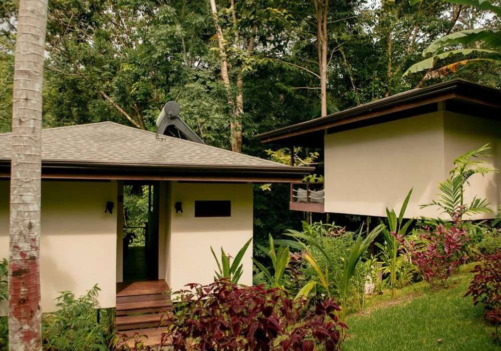 Jungle Bungalows_6