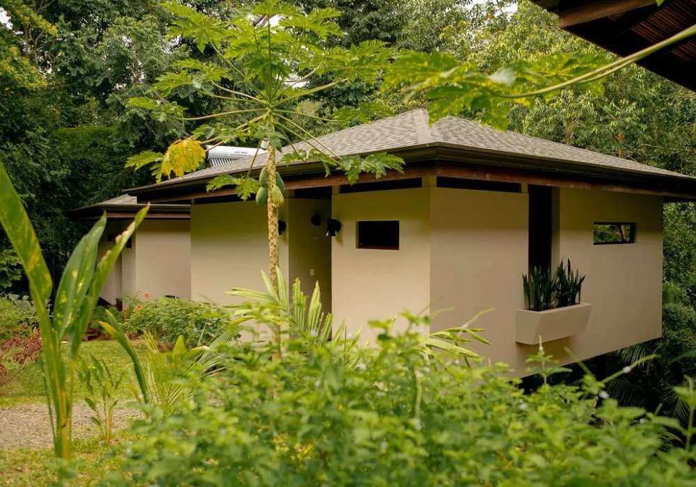 Jungle Bungalows_7
